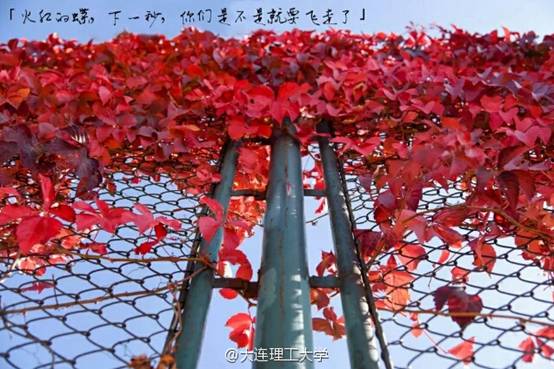 http://ww2.sinaimg.cn/mw690/b7c02209jw1f8zobath5aj20hp0btwjf.jpg