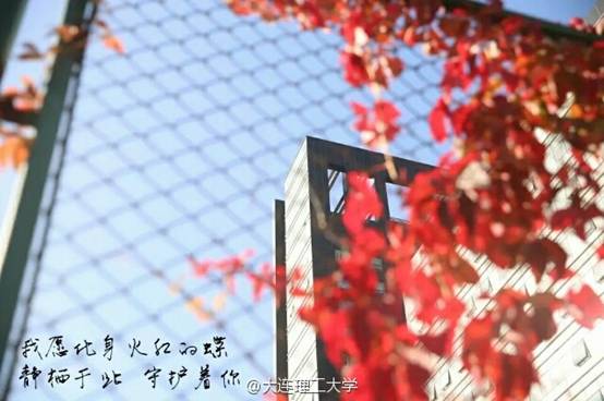 http://ww1.sinaimg.cn/mw690/b7c02209jw1f8zo9cfifxj20hs0bu0v8.jpg